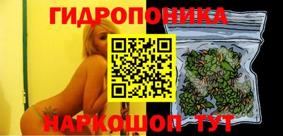 mdpv Кандалакша
