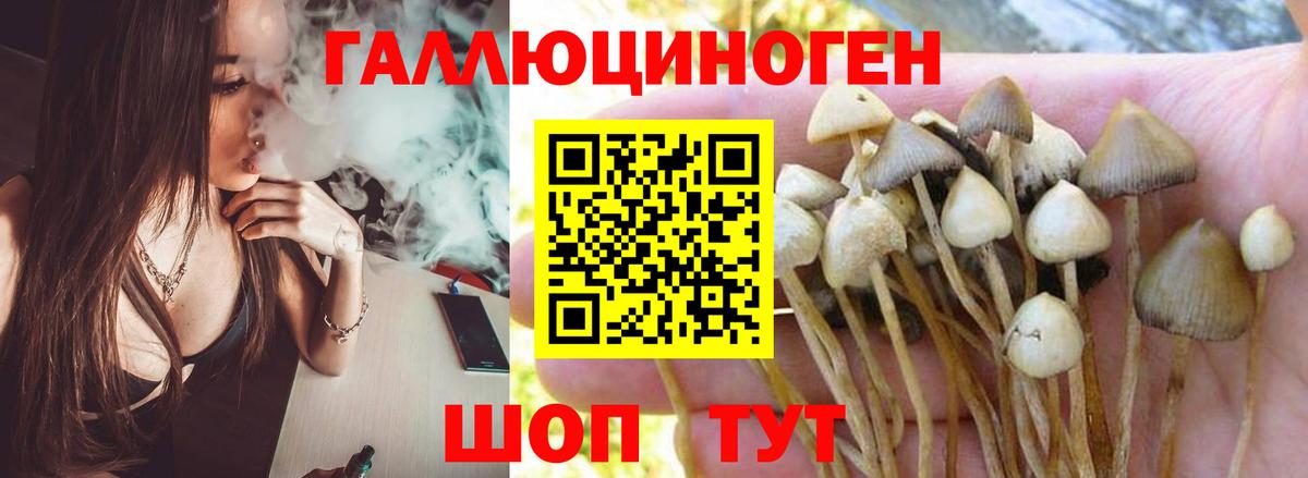 Галлюциногенные грибы мицелий  Вход с VPN  закладка  Южно-Сахалинск 